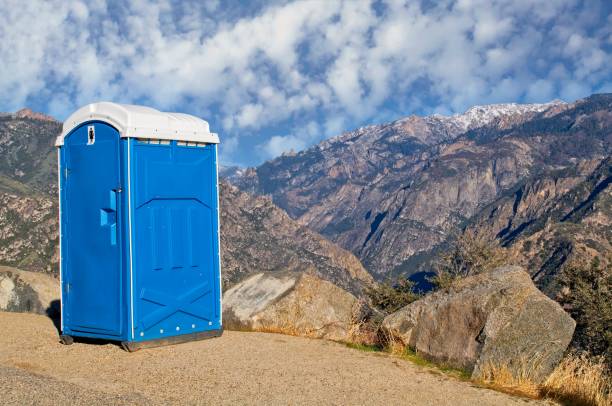 Best Sanitation services for porta potties  in Swannanoa, NC